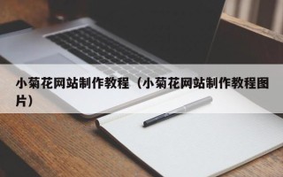 阳春小菊花网站制作教程（小菊花网站制作教程图片）